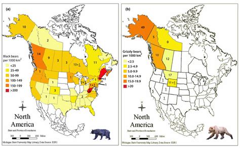 Maps Of Black And Grizzly Bear Inflicted Fatalities Relative To Bear