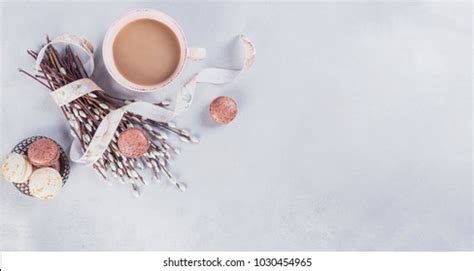 French Pink Pussy Willow Images Stock Photos Vectors Shutterstock