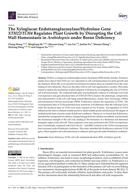 PDF The Xyloglucan Endotransglucosylase Hydrolase Gene XTH22 TCH4