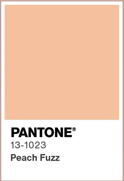 How To Include Peach Fuzz Pantone S 2024 Colour Of The Year In Your