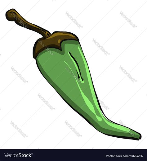 Green Hot Pepper On White Background Royalty Free Vector