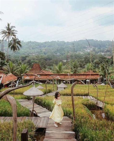 Ngopi Di Sawah Gadog Bogor Harga Menu Suasana Daya Tarik Wisata Diary
