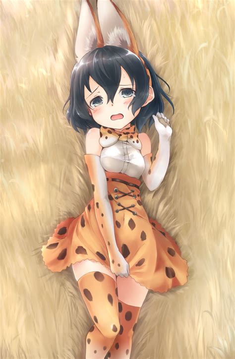 Kaban Wearing Her Friend Kemono Friends Know Your Meme