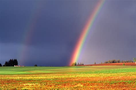 rainbow wallpapers hdwpro