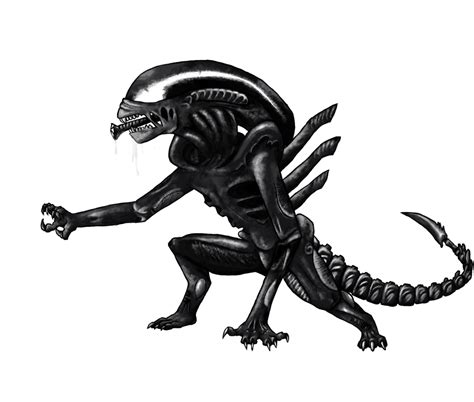 xenomorph  rotten dog  deviantart