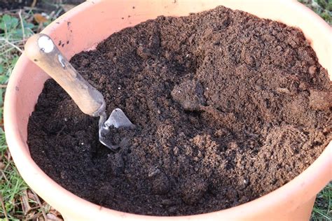 Le Terreau Pour Semis Et Plantations La Terre Est Un Jardin