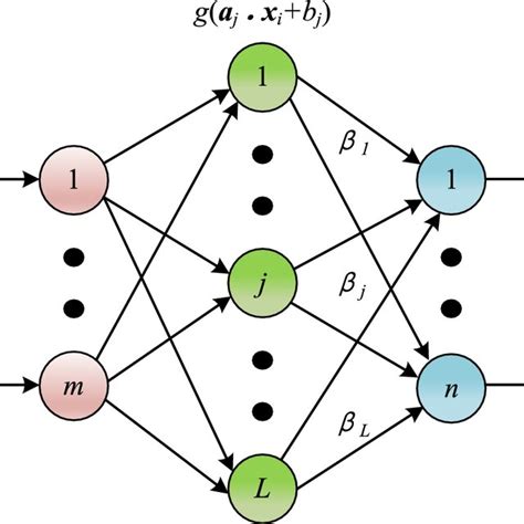 Schematic of the network structure of ELM | Download Scientific Diagram