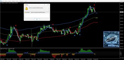 Train Trend System Budget Forex Shop