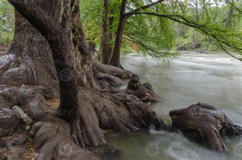 Tree River Stock Photos Images And Backgrounds For Free Download