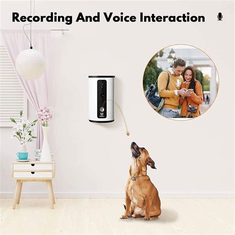 Smart and Fun: Discover the Best High-Tech Dog Treat Dispensers for ...