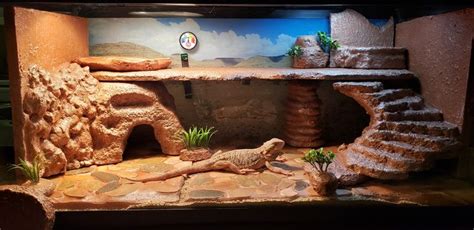 bearded dragon tank setup ideas - Yan Bourne