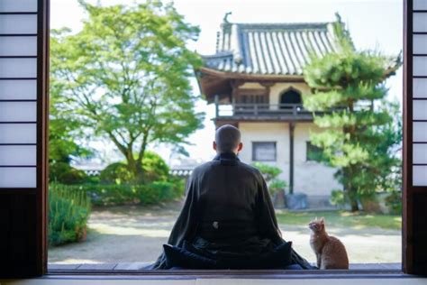 Yanaka, the Aptly Named "Cat Town" of Tokyo - Catster