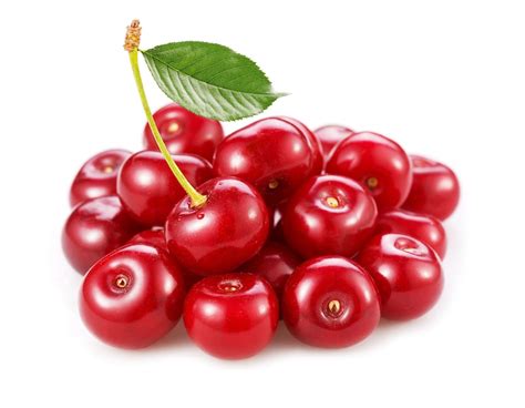 Экстракт вишня (лист)