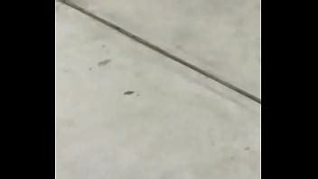 Puta Del Chongo 8 XVIDEOS