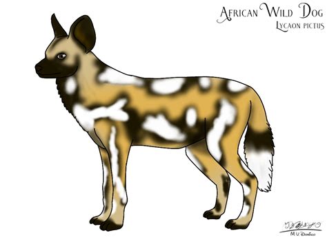 African Wild Dog by Ognimdo2002 on DeviantArt