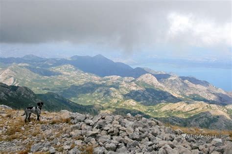 Гора Румия, Черногория