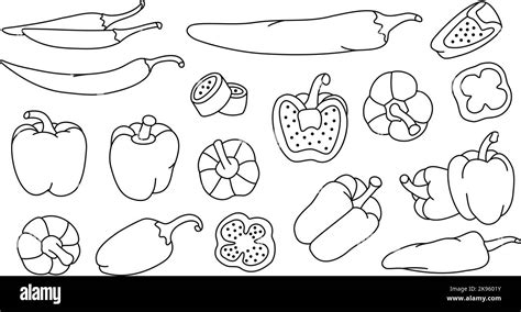 Hand Drawn Peppers Line Set Hot Chili And Bell Peppers Sketch Set Whole And Half Different