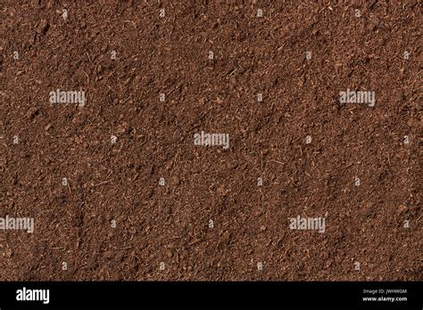 Peaty And Marshy Soil