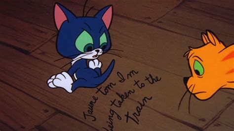 Gay Purr Ee Cinema Cats