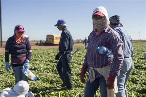 Tratados de Libre Comercio cómo salir de la sumisión corporativa Biodiversidad en América Latina