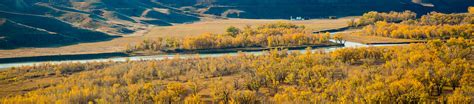 Tamarack Valley Energy Financial Reports