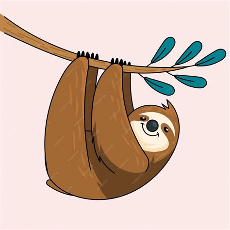 Illustration De Paresseux Dessin Animé Dessiné à La Main | Vecteur Premium