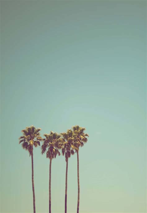 [100+] Peaceful Relaxing Wallpapers | Wallpapers.com
