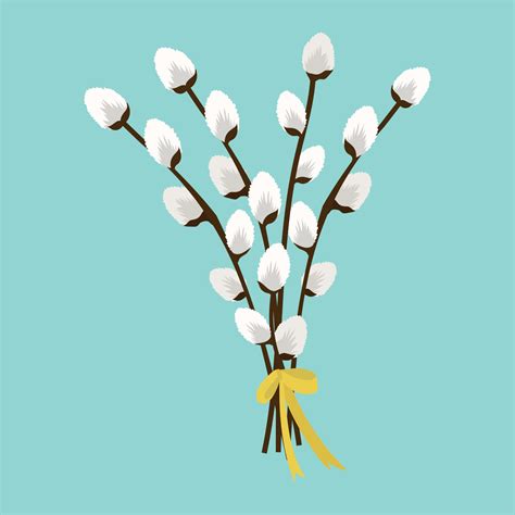 Bouquet Of Pussy Willow Branches Vector Art At Vecteezy