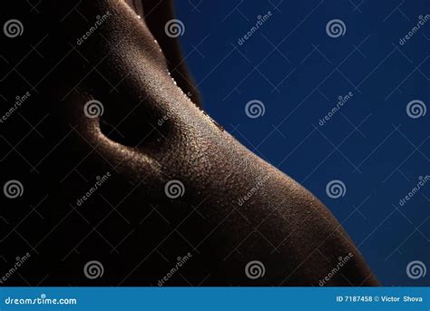 Naked Woman Belly Stock Photo Image Of Waist Dark Heap