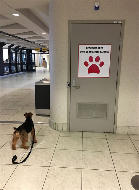 Airport Pet Relief Areas - Miles & Emma
