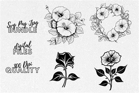 Morning Glory Svg Flowers Clipart Graphic By Younique Aartwork