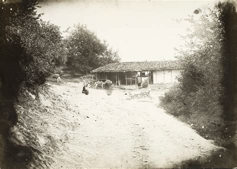 Типы и виды Персии на фотографиях Антона Васильевича Севрюгина. Часть 2 ...