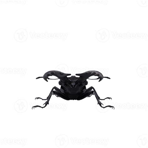 Miyama Stag Beetle 22308175 Png