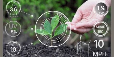 Soil Monitoring With Iot Comprehensive Guide