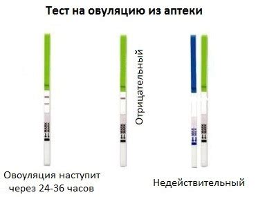 Актиферт гель для зачатия. Отзывы, что это, состав, инструкция по ...