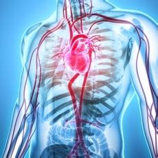 aortic aneurysm medlineplus