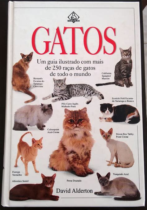 Leiturinha Diária 5 livros para quem AMA gatos