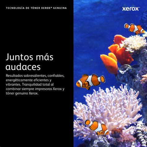 Tóner Xerox 006R04389 - Magenta - Estrena Ahora | Intercompras