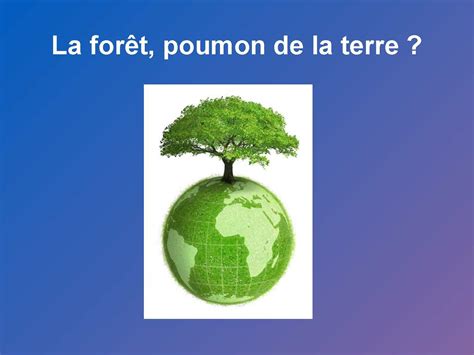 [téléchargement Gratuit √] Image Poumon Foret 185558