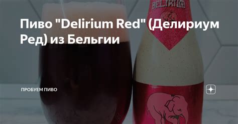 Пиво "Delirium Red" (Делириум Ред) из Бельгии | Пробуем пиво | Дзен