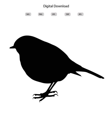 Robin Svg Robin Silhouette Robin Svg Bundle Robin Svg Design
