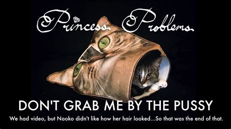Don T Grab Me By The Pussy Youtube