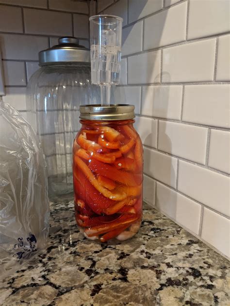 First Hot Sauce Is Fermenting Away R HotPeppers
