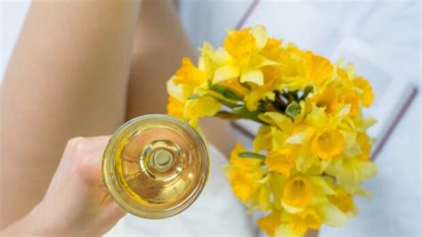 special guide  pairing wine   springs blooms cbc life