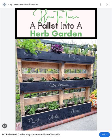 Watching gardeners on YouTube will have you inspired to grow and build