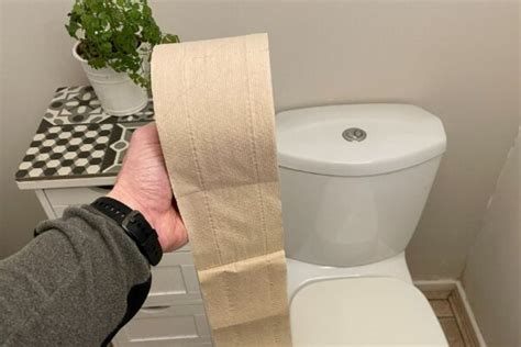 Naked Paper Review My View On This Eco Toilet Paper