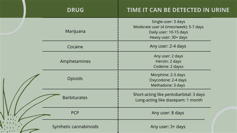 Are There Different Types Of Drug Panel Tests Exploro