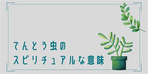 てんとう虫のスピリチュアルな意味・お告げとは？種類別のメッセージを解説！