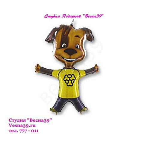 Фольгированный шар Дружок Барбоскин