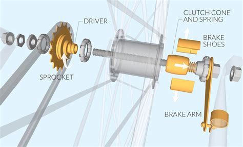 Coaster Brake Assembly Diagram Atelier Yuwa Ciao Jp